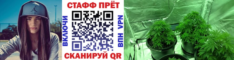 Все наркотики Чайковский LSD-25  ГАШИШ  Псилоцибиновые грибы  А ПВП  Конопля  Амфетамин 