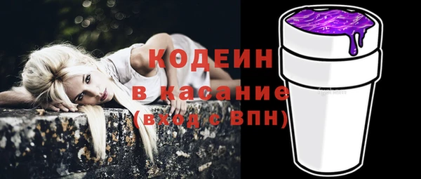 прущий лед Алзамай
