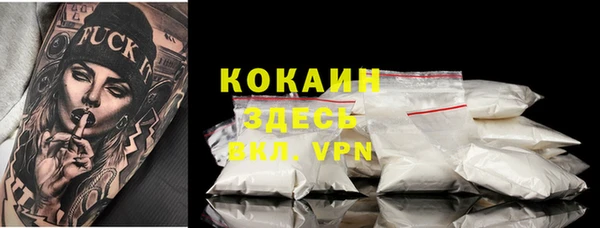 индика Алексеевка