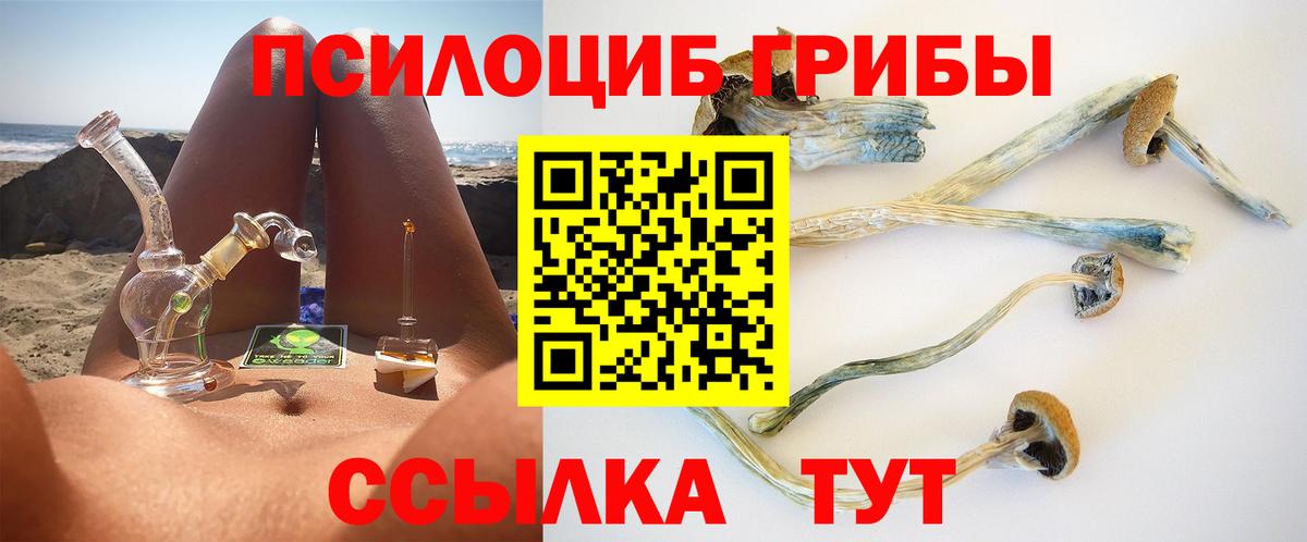Чайковский  Псилоцибиновые грибы MAGIC MUSHROOMS  Вход с VPN 